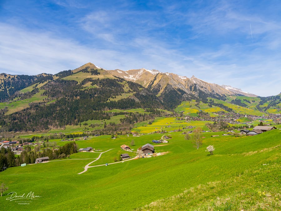 Spring Valley at Château-d'Oex