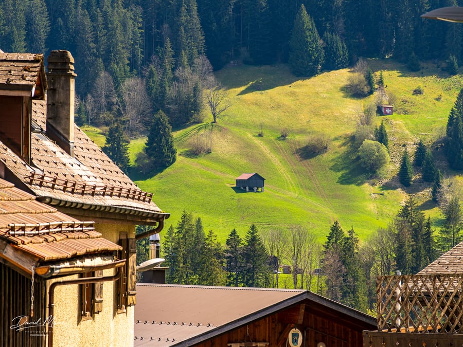 Hillside above Château-d'Oex