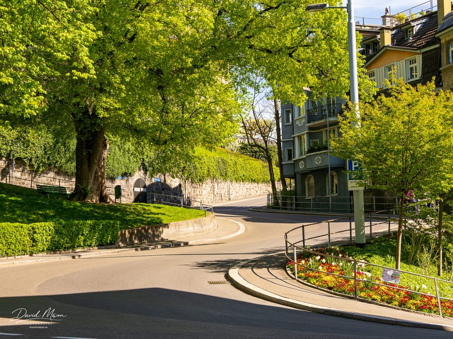 Spring on a Lucerne Street