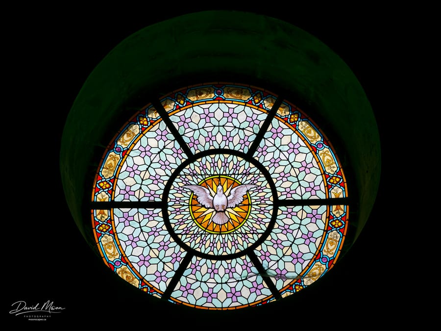 Dove in Stained Glass