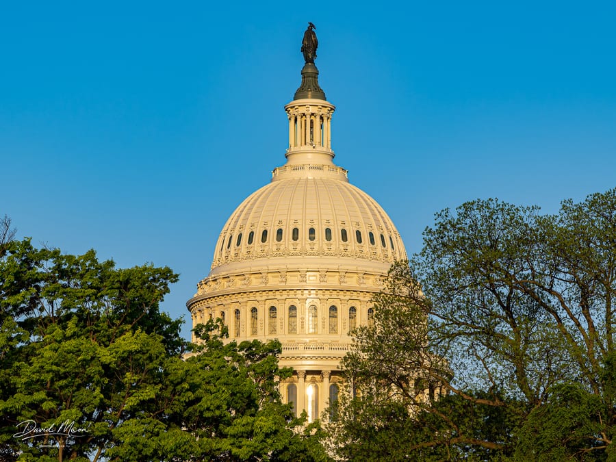 Washington DC & Baltimore May 2024