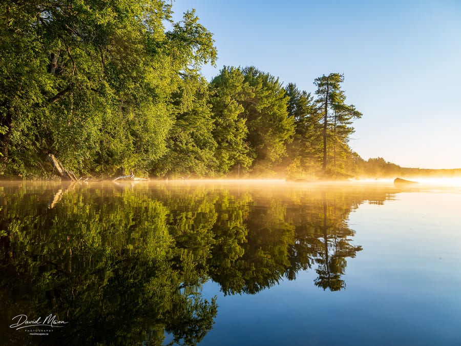 Misty Shoreline Reflections