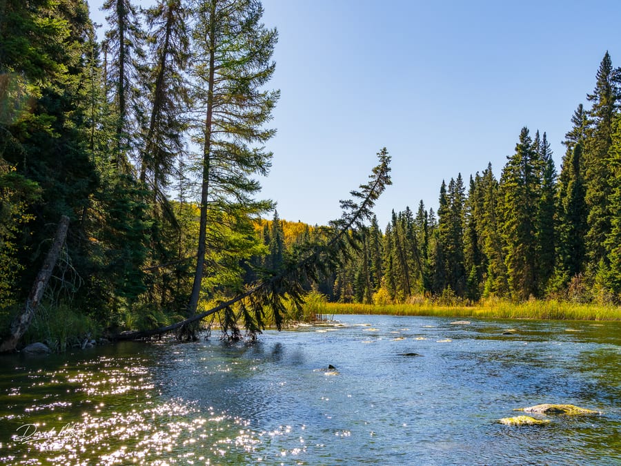 Waskesiu River in Autumn
