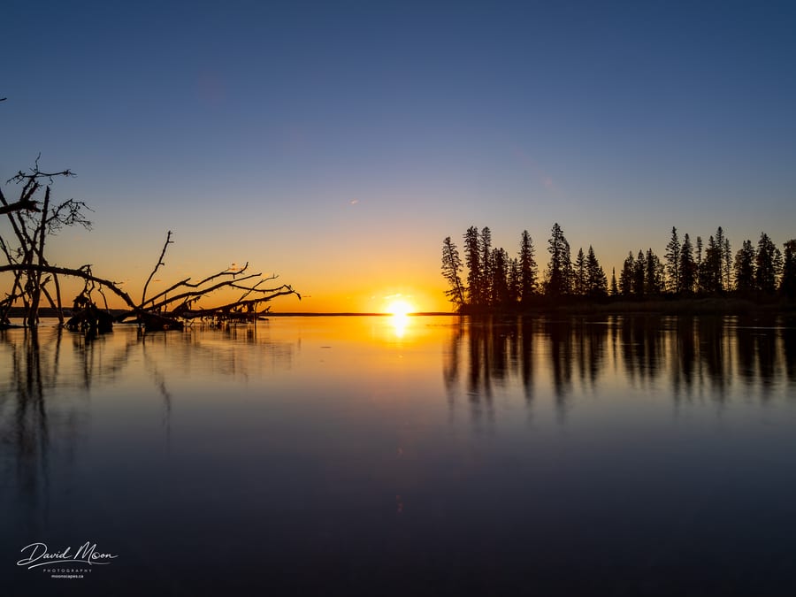 Pine Island at Sunrise