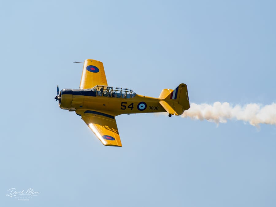 Harvard Trainer with Smoke