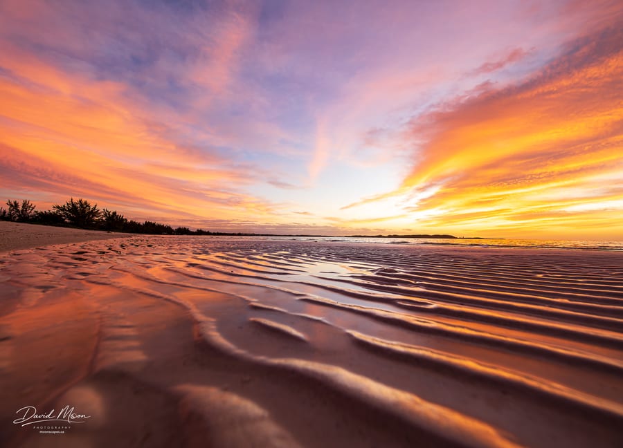 Fire across the Tidal Flats