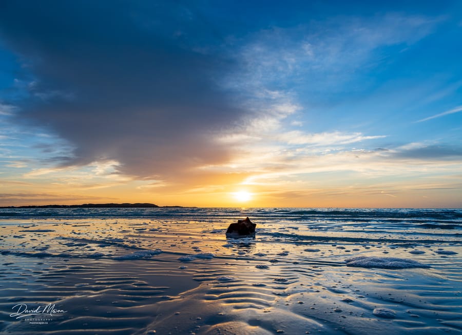 Conch at Sunrise
