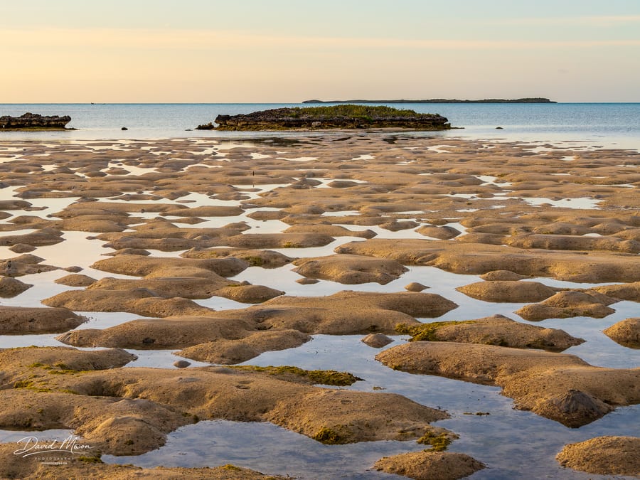 Patterns of Low Tide