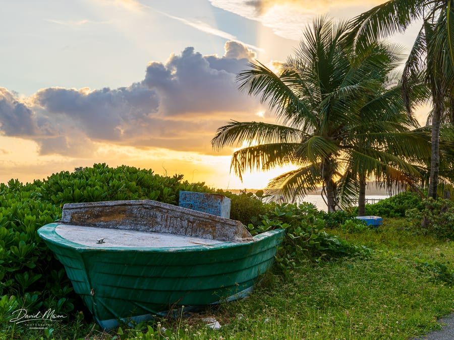 Old Boat beneath the Palms