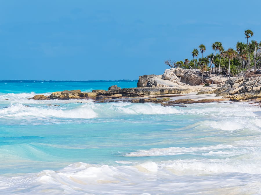 Surf along the Palm Shore