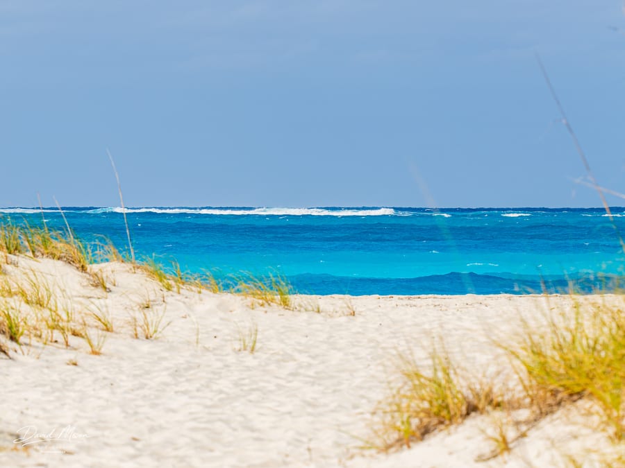 White Dunes and Turquoise Sea
