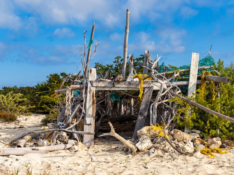 Driftwood Shelter