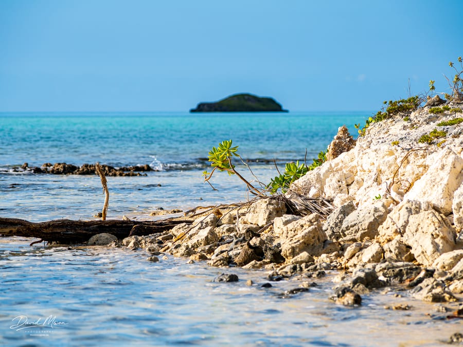 Rocky Shore at Hidden Beach