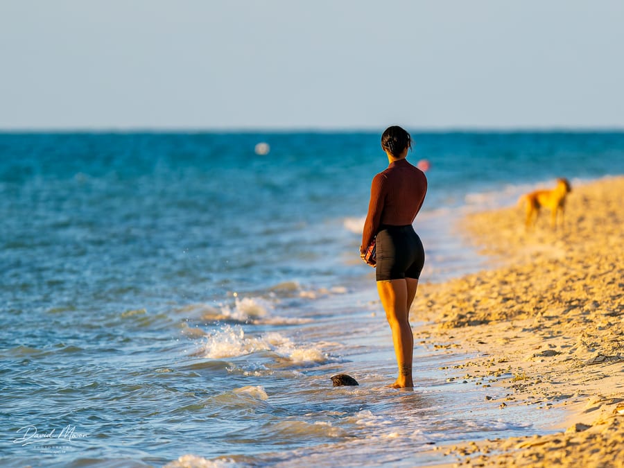 A Walk along Long Bay