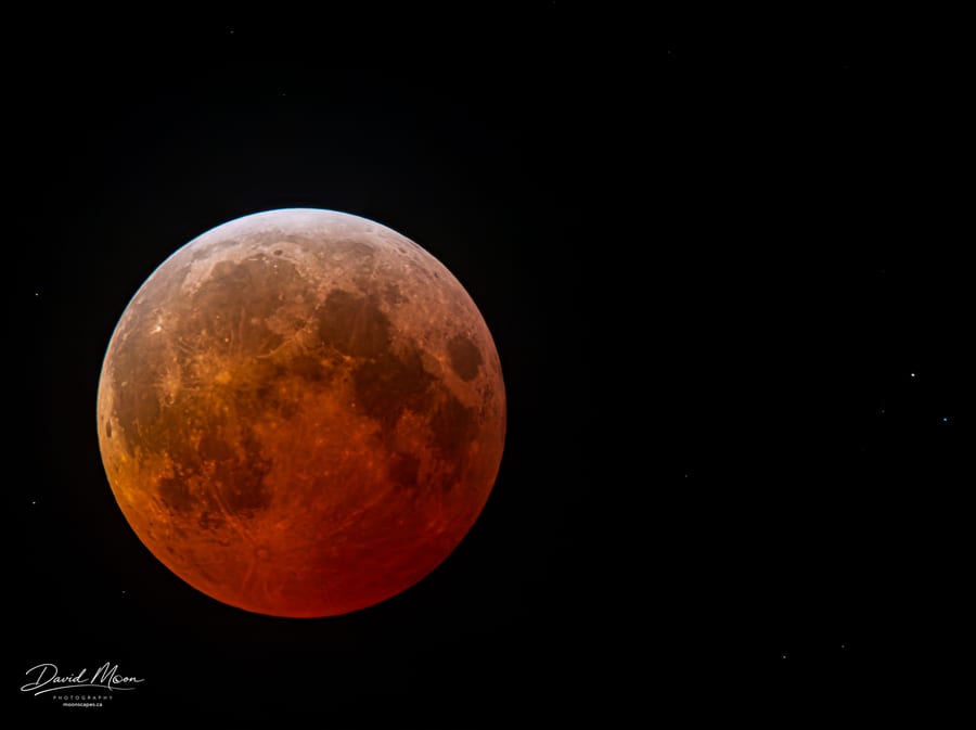 Blood Moon Eclipse March 2025