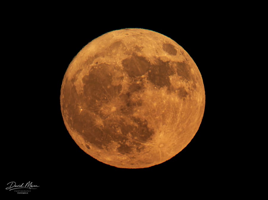 Face of the Strawberry Moon