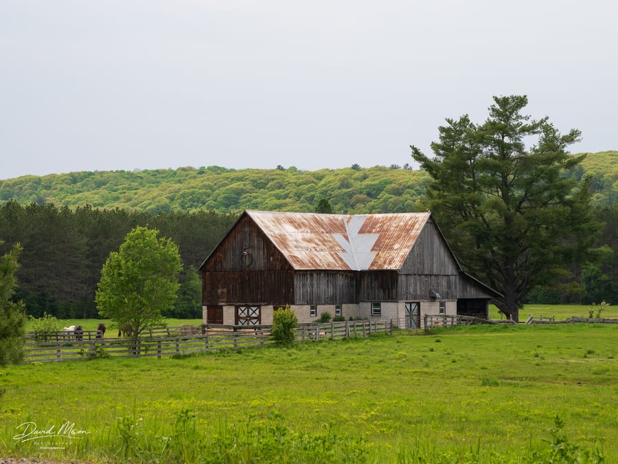 Haliburton June 2025