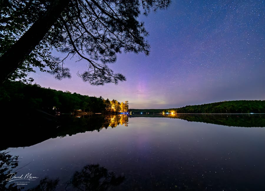 Purple Aurora behind the Pines