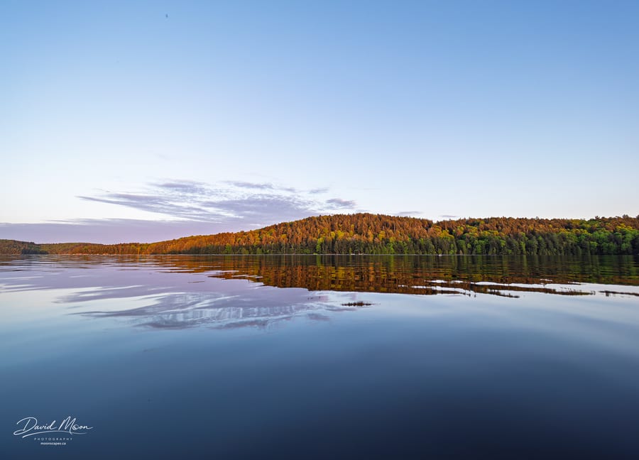Golden Shore across the Lake