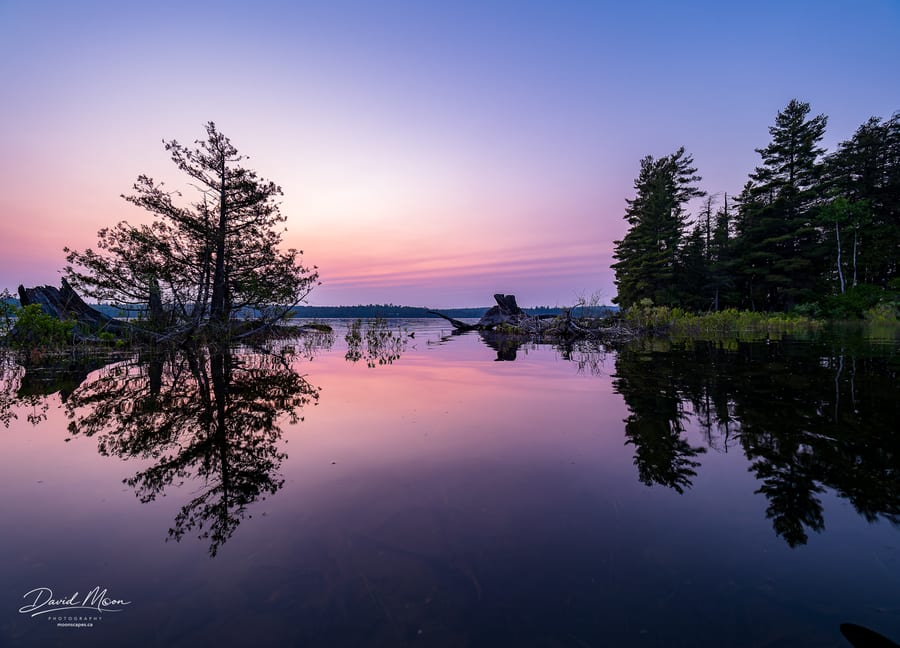 Blue and Pink after Sunset