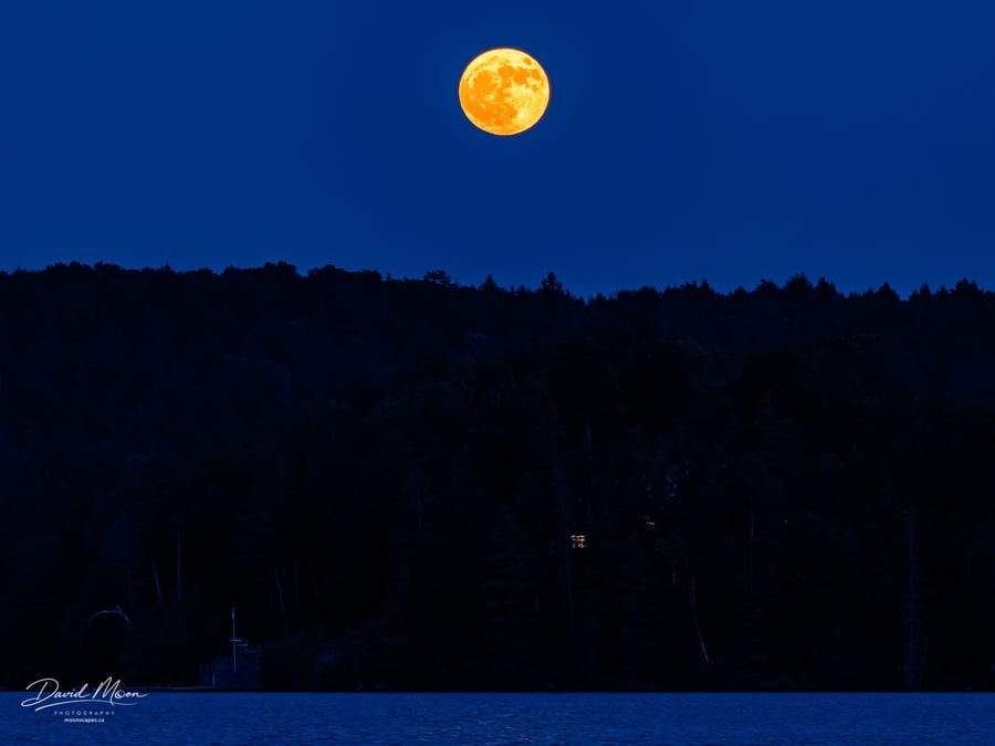 Moon above the Forest