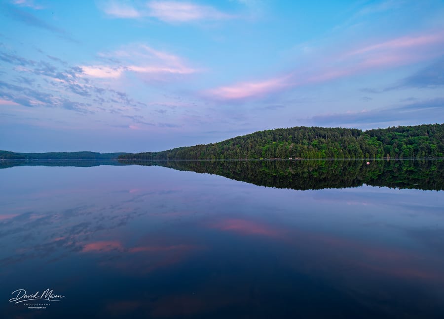 Cat Bay in Blue and Pink