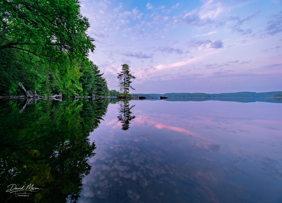 Coqui Island Reflection