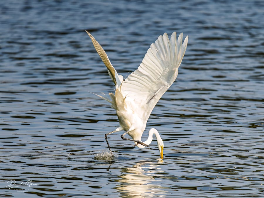 A Strike at the Surface
