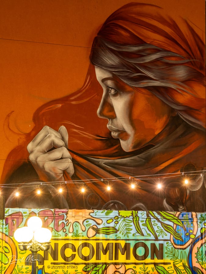 ByWard Market Mural