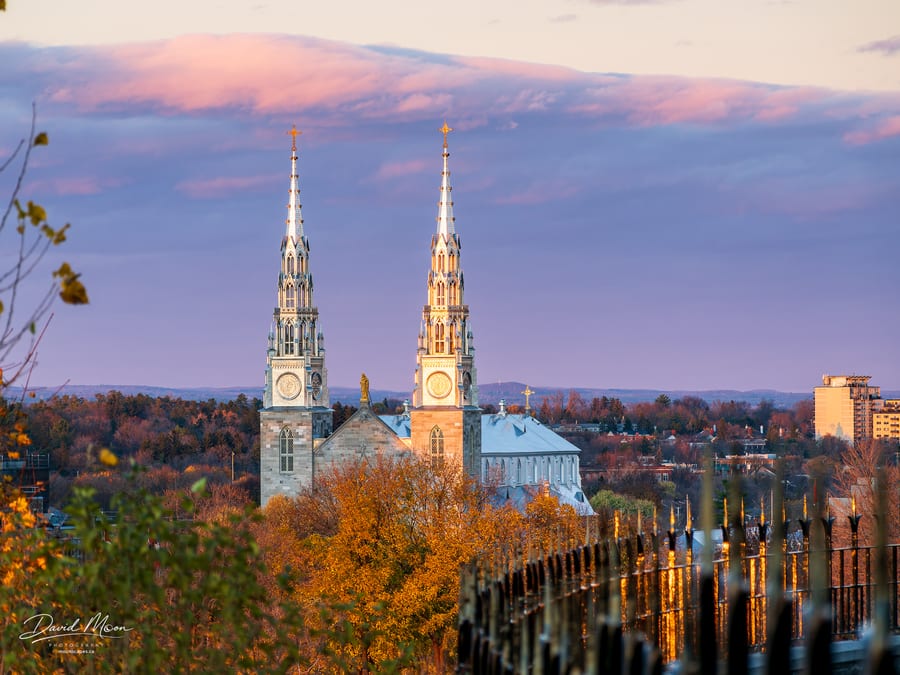 Notre-Dame in Autumn Light