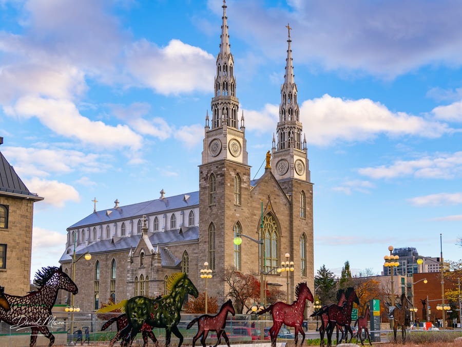 Ottawa November 2024