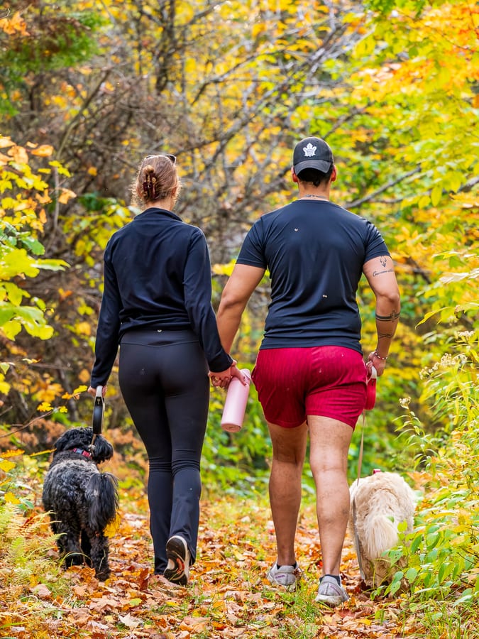 Walking Together