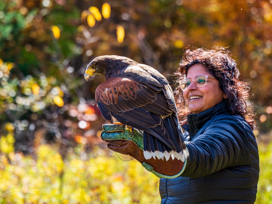 A Close Encounter with Hera