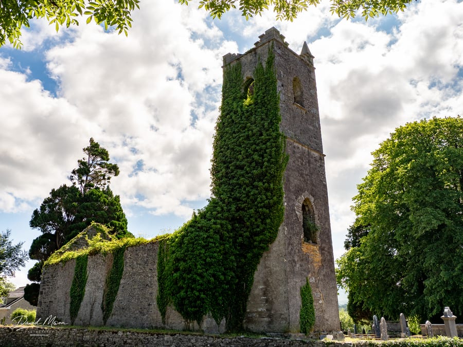Ivy-Covered Church Ruins