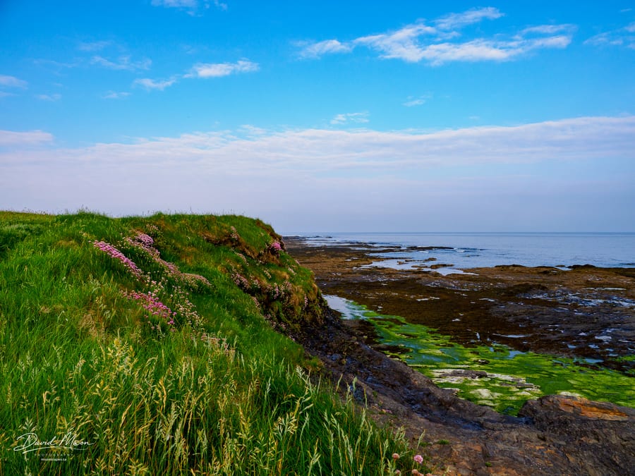 Clare Coast near Milltown Malbay