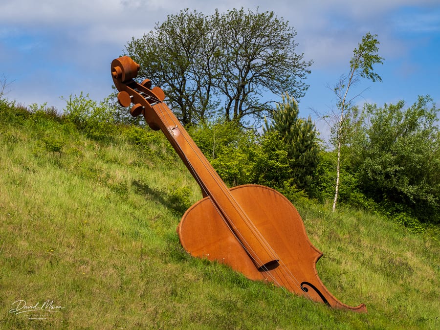 The Violin