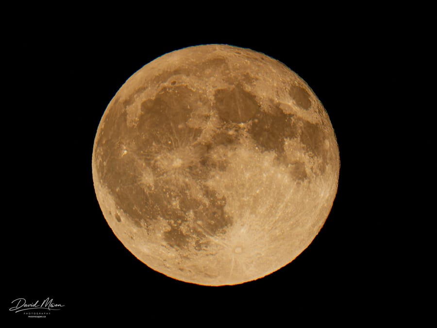 Face of the Buck Moon