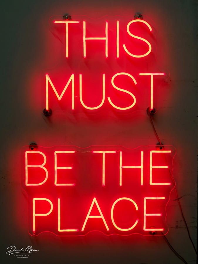 This Must Be the Place