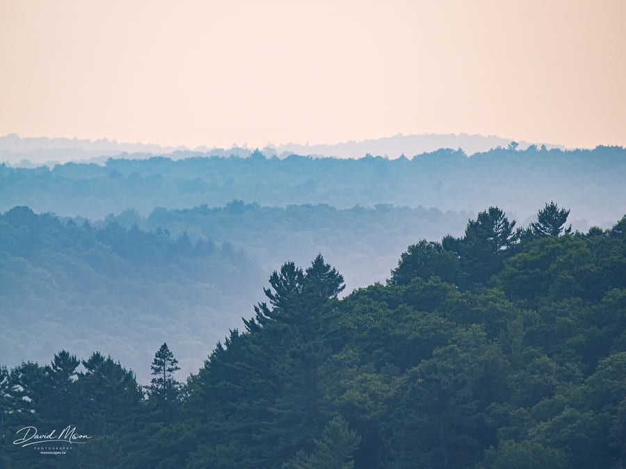 Forest Ridges to the Southwest