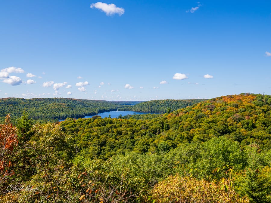 Blue Water Beyond the Early Fall Canopy