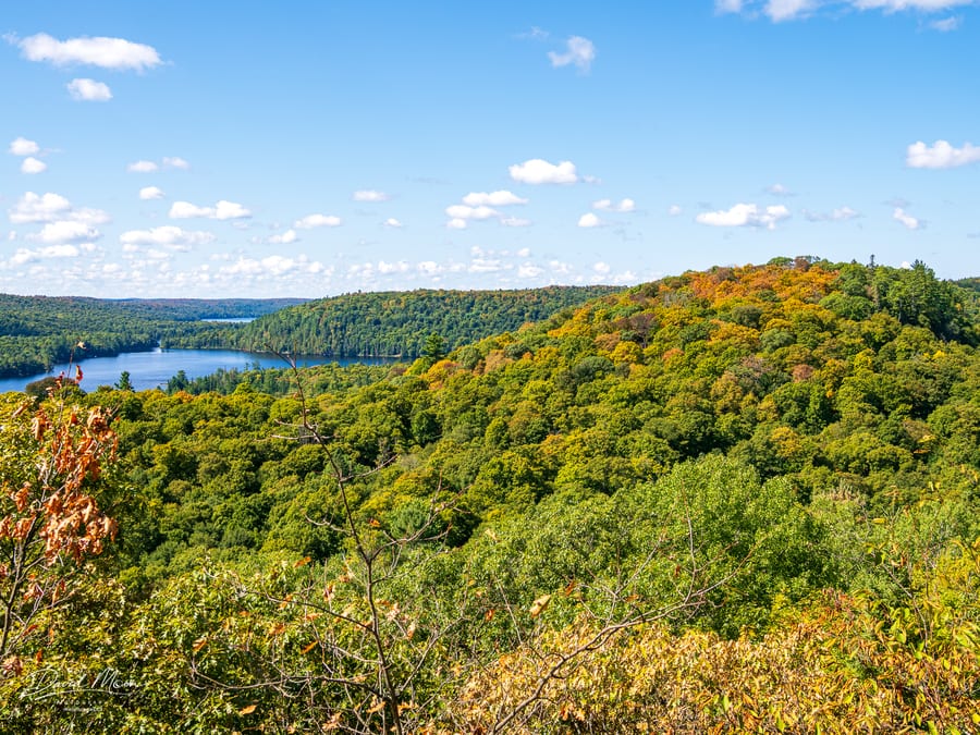 Water and Hardwood Hills from The Outlook