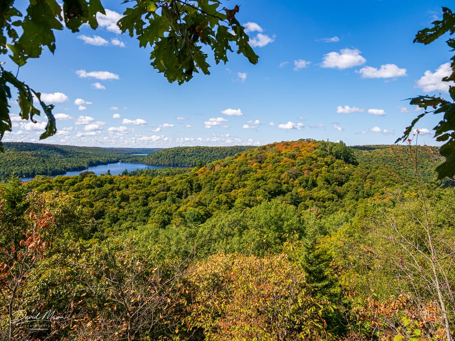 Oak-Framed View from The Outlook