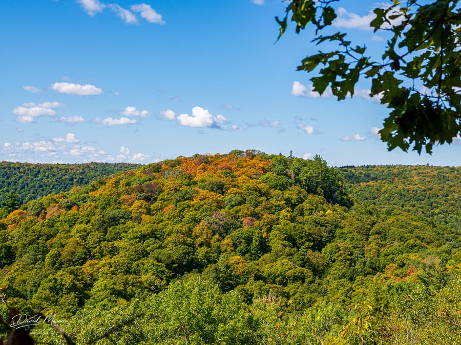Northern Hardwood Ridge in Early Fall