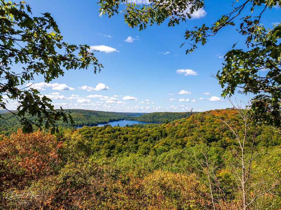 The Outlook Framed by Red Oak