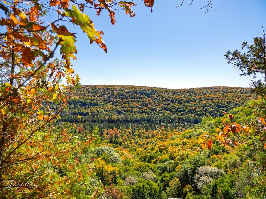 Hollow Valley in Early Autumn