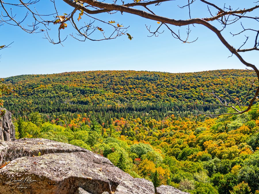 Hollow Valley Framed by Oak
