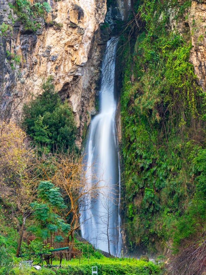 Waterfall in a Mossy Ravine