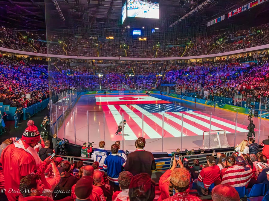 Gold Medal Hockey Arena in Milan