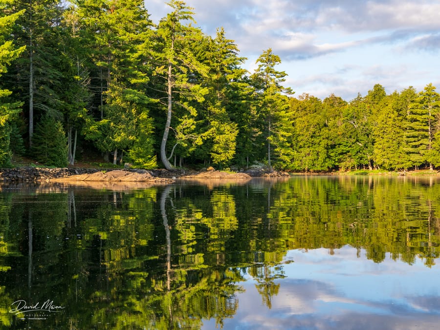 Still Water at the Shore