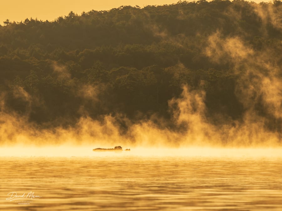 Golden Mist Across Kennisis